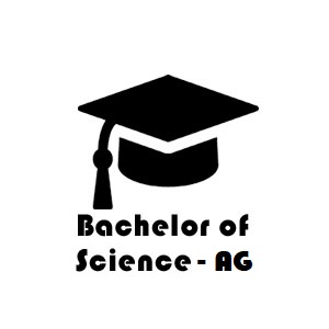 bsc ag